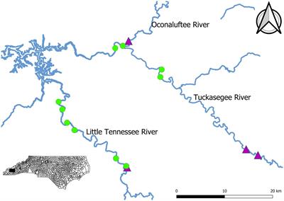 State-space models to describe survival of an endemic species in the Little Tennessee River basin